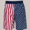 Arena Official USA Swimming National Team Flag Print Bermuda Short -Arena Shop ftp m magentoproduct photos002918174 002 xl