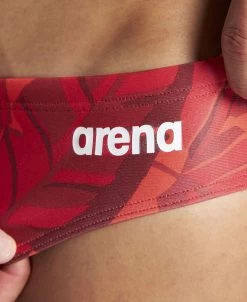 Arena Tropicals Brief