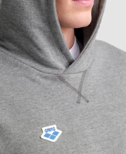 Arena Icons Solid Hooded Sweatshirt -Arena Shop ftp m magentoproduct photos005242551 007 xl