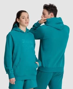 Arena Unisex Logo Hooded Sweatshirt 39 Arena Unisex Logo Hooded Sweatshirt -Arena Shop ftp m magentoproduct photos005335660 001 xl