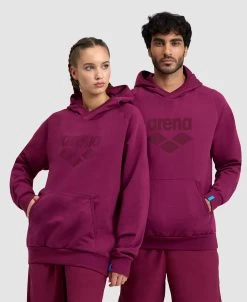 Arena Unisex Logo Hooded Sweatshirt 36 Arena Unisex Logo Hooded Sweatshirt -Arena Shop ftp m magentoproduct photos005335990 001 xl