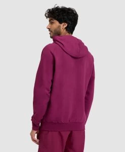 Arena Unisex Logo Hooded Sweatshirt 37 Arena Unisex Logo Hooded Sweatshirt -Arena Shop ftp m magentoproduct photos005335990 004 xl