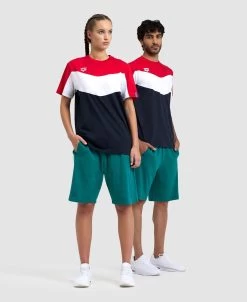 Arena Color Block T-Shirt -Arena Shop ftp m magentoproduct photos005979417 006 xl