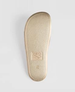 Arena 50th Anniversary Slide